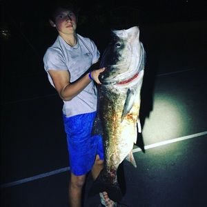 Meet your Posher, Carter